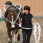 Mellonseite-IMG_4302 Mellonseite-IMG_4302