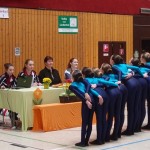 T4-03-03-00133_2012