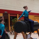 T4-03-31-00171_2012