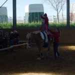 DSCF1876