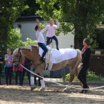 IMG_3894