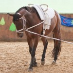 Alpenprinz-IMG_3102